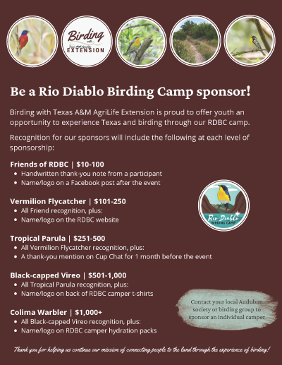 Be a Rio Diablo Birding Camp sponsor!